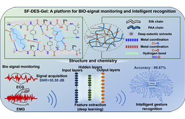 Ultra-robust silk-based eutectogel enabled by polymeric reconstruction and supramolecular network reinforcement for intelligent bioelectronics 2026.101116
